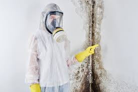 Best Residential Mold Inspection & Testing in Perryopolis, PA